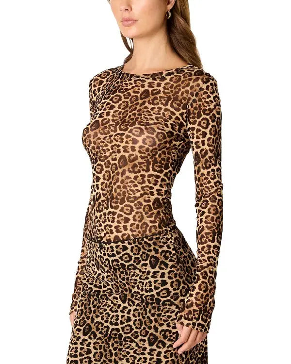 Fox Top