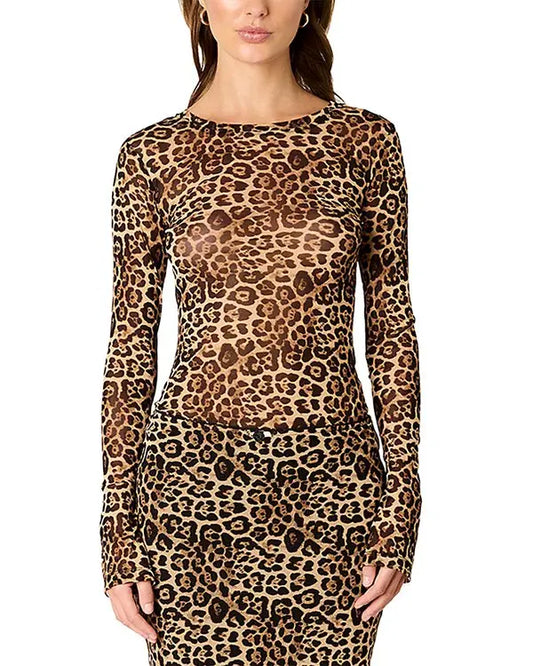 Fox Top